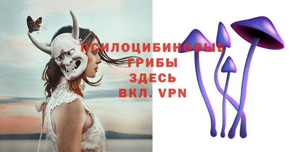 эйфоретик Аркадак